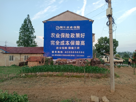 双江墙体广告为何受追捧？